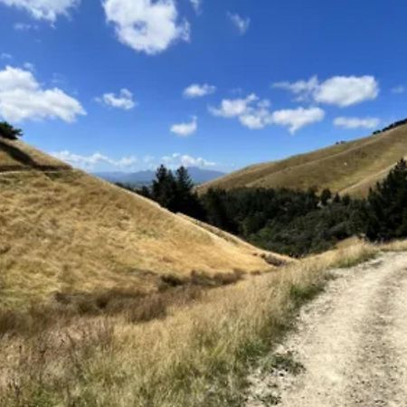 Ashleigh Court Motel Blenheim Luaran gambar